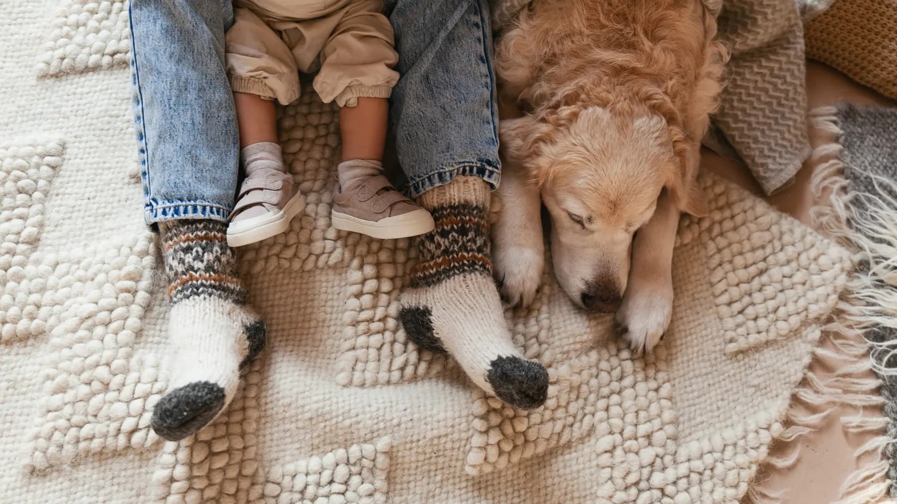 A parent's and toddler's feet in wool socks beside a sleeping golden retriever on a rug